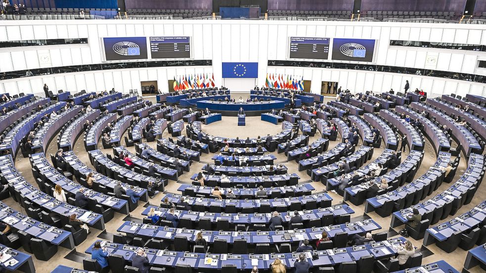 Die Abstimmung über eine Verschärfung der Migrationspolitik im Bundestag hat für einen großen Aufschrei gesorgt. Nun setzten die europäischen Sozialdemokraten das Streitthema in Straßburg auf die Tagesordnung. Foto: dpa/Pascal Bastien