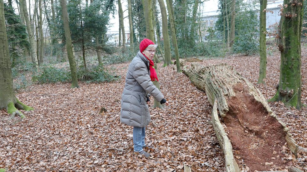 Die Seniorin zeigt die Stelle, an der sie am Sonntag (2. Februar) Daniel S. im Wald fand. Foto: Romuald Banik