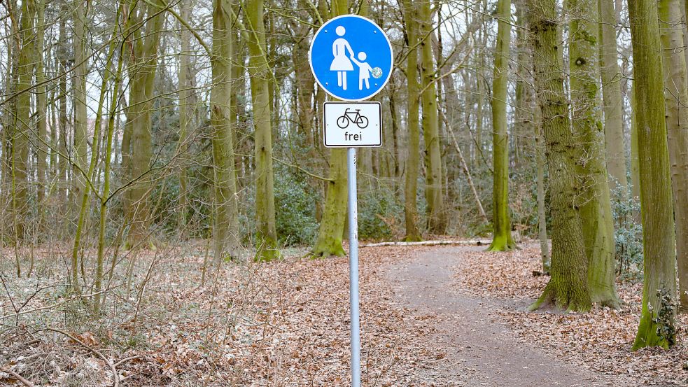 Daniel S. hatte ganz in der Nähe des Spazierweges an der Handwerkskammer Unterschlupf gesucht. Dort fanden ihn Renate Boge und zwei weitere Frauen beim Gassigehen mit ihren Hunden. Foto: Romuald Banik