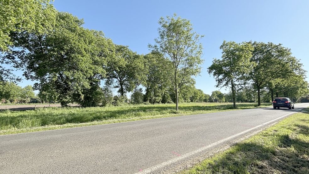 Blick auf das Grundstück an der Westersander Straße. Hier soll das neue Domizil der Ortsfeuerwehr Weene entstehen. Foto: Christin Wetzel