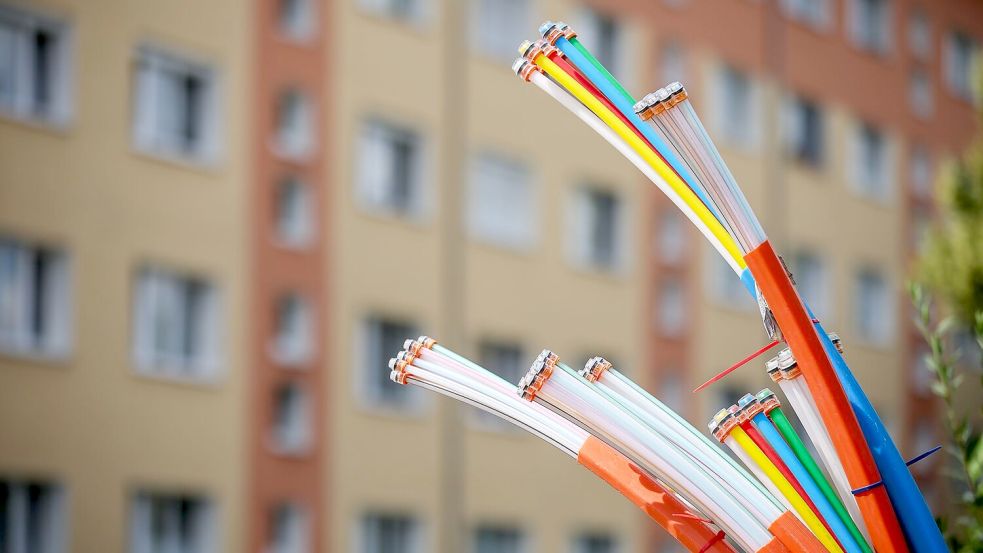 Erst mal angeschlossen, bieten sie Highspeed-Internet: Glasfaserkabel, die aus dem Sockel eines Schaltschranks herausragen. Foto: Jan Woitas/dpa