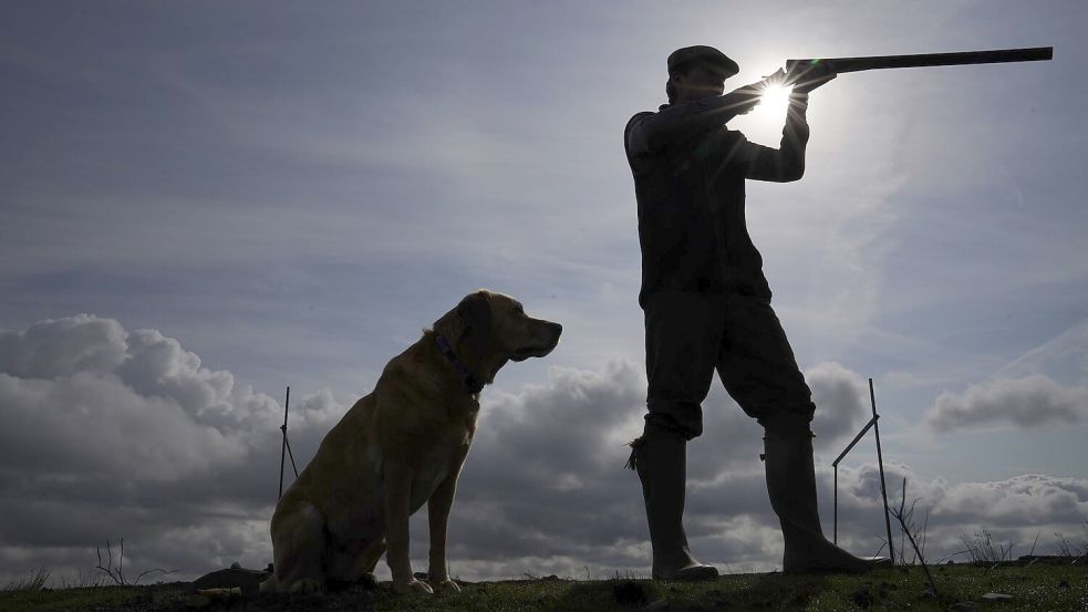 Bei der Moorhuhnjagd wird immer noch vor allem bleihaltige Munition eingesetzt. (Symbolfoto) Foto: Owen Humphreys/PA Wire/dpa