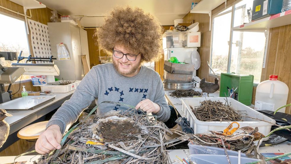 Auke-Florian Hiemstra untersucht Vogelnester wissenschaftlich und macht dabei erstaunliche Entdeckungen. Foto: Hielco Kuipers/Fotoprodukties Leiden/dpa