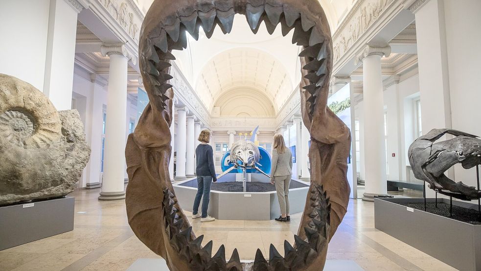 Riesig war der Megalodon mit gut 24 Metern Länge wahrscheinlich durchaus. (Archivbild) Foto: Christoph Schmidt/dpa