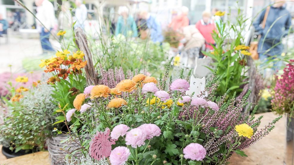 Farbenfroh, bunt und fröhlich: Zahlreiche Veranstaltungen auf dem Auricher Marktplatz bereichern das Stadtleben. Foto: Stephan Friedrichs