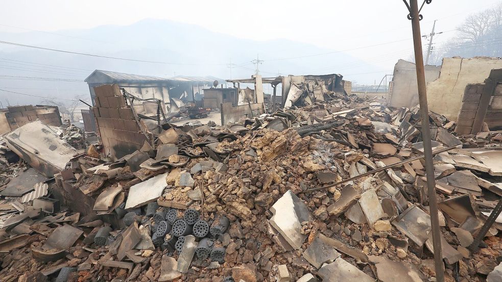 Rund 37.000 Anwohner mussten bereits wegen der Waldbrände evakuiert werden. Foto: Kim Do-hun/Yonhap via AP/dpa