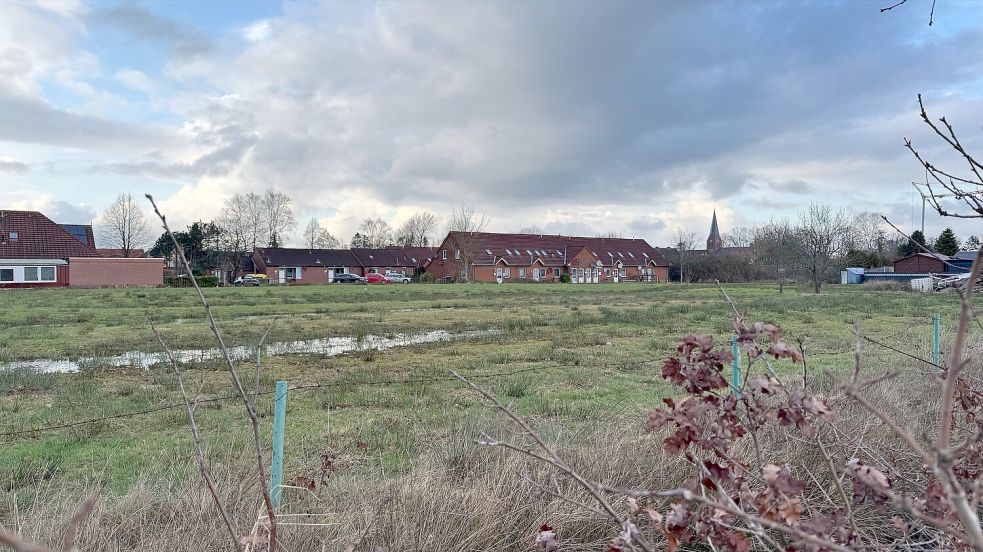 Auf dieser Grünfläche an der Ekelser Straße sollen fünf Stadtvillen und drei Mehrparteienhäuser entstehen. Foto: Holger Janssen