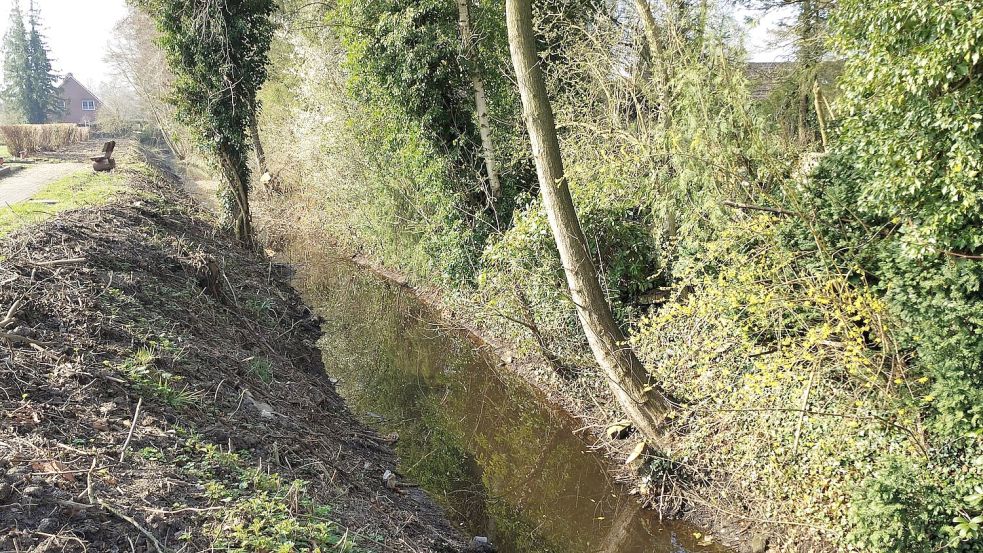 Der Graben westlich des Friedhofs wurde gründlich aufgereinigt. Foto: Karin Böhmer