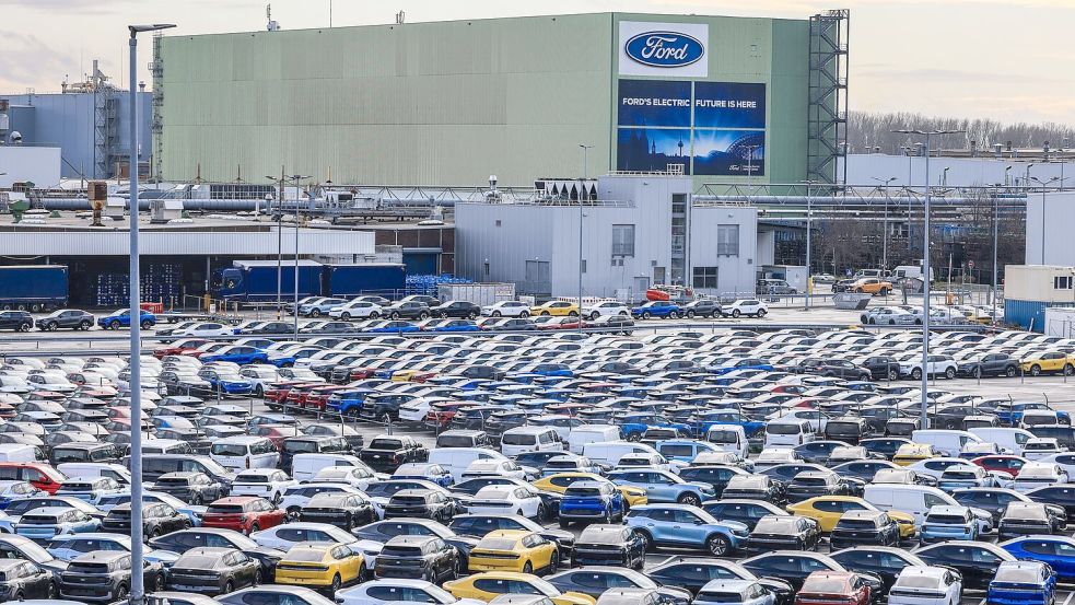 Ford-Elektroautos auf einem Kölner Parkplatz - ihr Verkauf läuft schleppend. Foto: Oliver Berg/dpa
