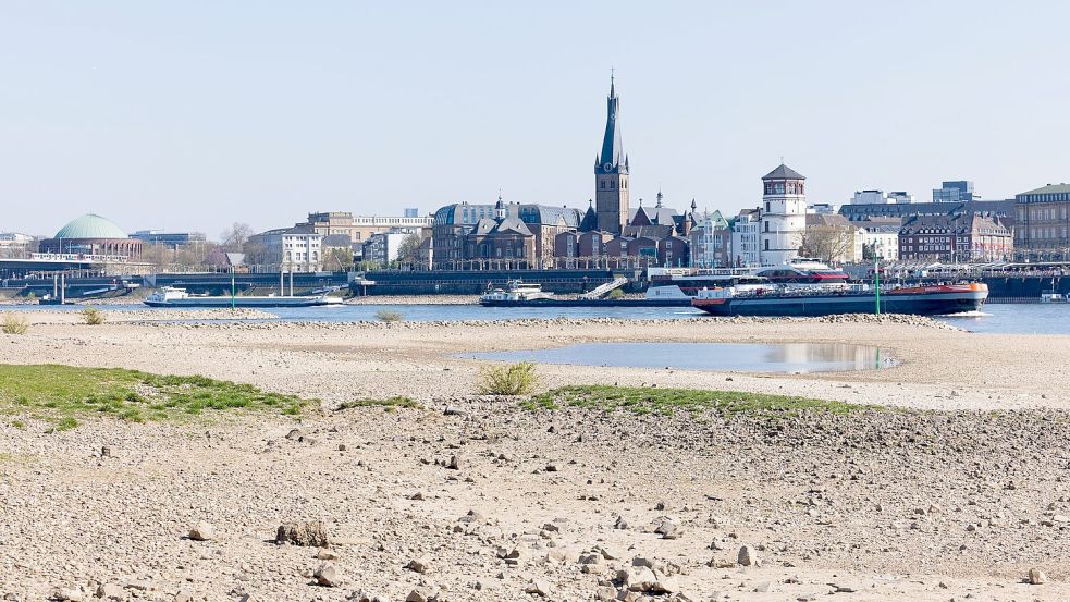In Oberkassel am Rhein herrscht Trockenheit. Foto: Rolf Vennenbernd/dpa