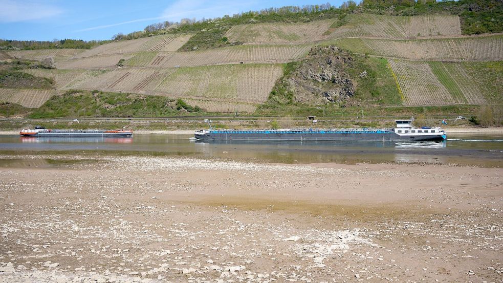 Die Schiffe können wegen der niedrigen Wasserständen weniger Ladung transportieren. Foto: Thomas Frey/dpa