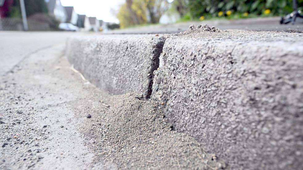 Am Bordstein einer Straße sind Schäden zu sehen, die durch Ameisen hervorgerufen wurden. (Archivbild) Foto: Uli Deck/dpa