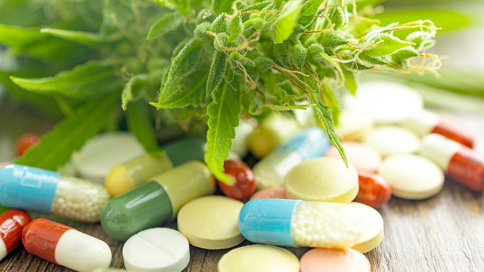 Cannabis als Arzneimittel: Die Importzahlen steigen enorm, Experten vermuten eine Grauzone zwischen Freizeitkonsum und medizinischer Anwendung. Foto: Imago/Zoonar