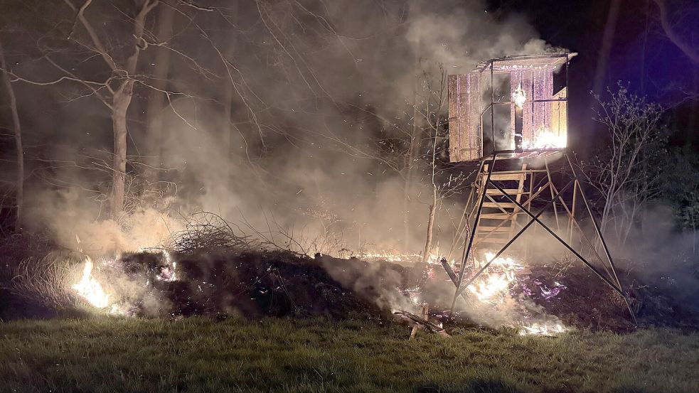Am Samstagabend meldeten Anwohner das Feuer im Logabirumer Wald. Foto: Feuerwehr der Stadt Leer
