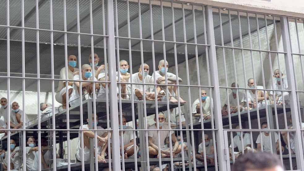 Trumps Regierung hat zahlreiche mutmaßliche Gangmitglieder nach El Salvador abgeschoben. (Archivbild) Foto: Alex Brandon/AP/dpa