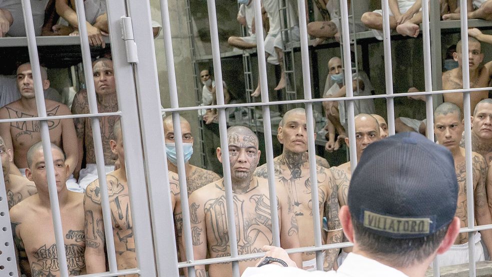 So werden Gefangene im CECOT-Gefängnis in El Salvador untergebracht. Foto: IMAGO/UPI Photo