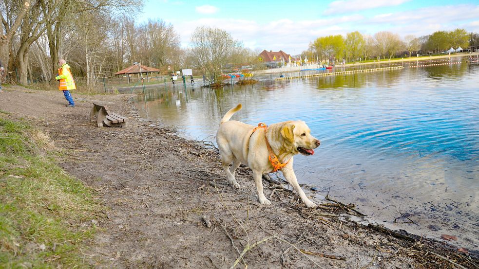 Für den Ausbau des Hundestrandes muss der Wasserstand noch etwas zurückgehen. Foto: Romuald Banik