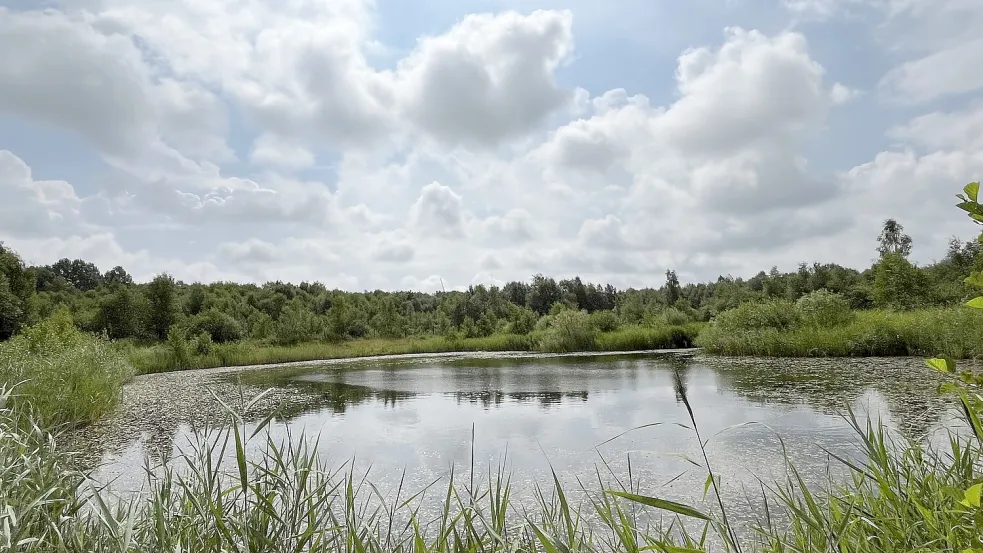 Teile des Geländes am Königskeil wurden bereits vor Jahren zu einem Flachwasserbiotop umgestaltet. Das soll auch nach der bevorstehenden Räumung der Becken 1 und 2 passieren. Foto: Neptune Energy