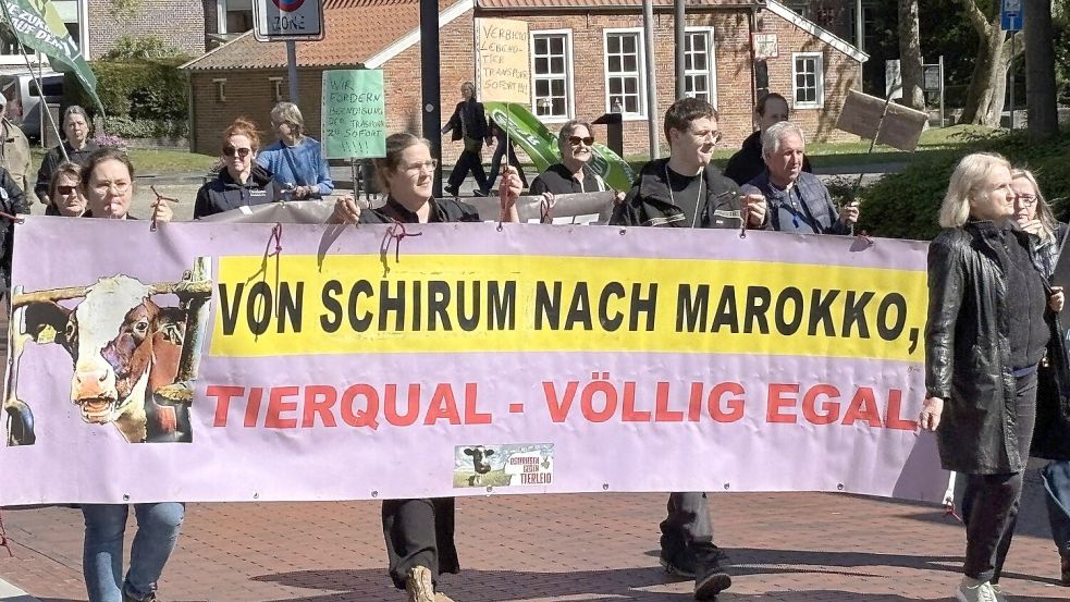Die Demonstranten passieren das Pingelhus.