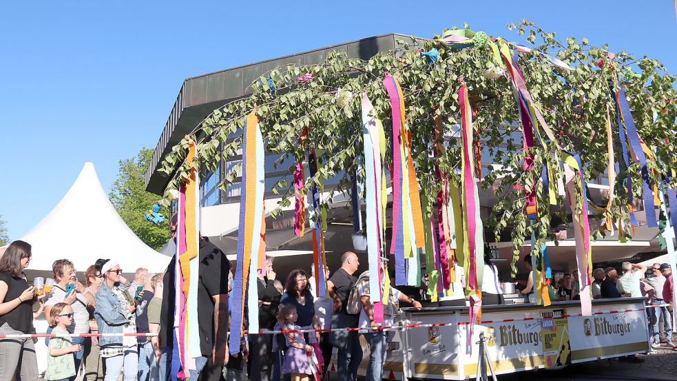 Stück für Stück wurde der Auricher Maibaum in die Höhe gezogen. Foto: Romuald Banik