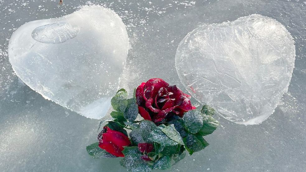 Februar: Nachträglicher Valentinsgruß - dieses romantische Leserfoto stammt von Gisela Schmidt aus Südbrookmerland-Moordorf.