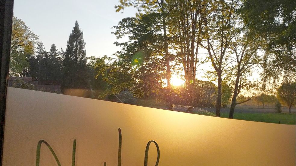 Blick in den Garten der neuen Praxis: Nestleben Geeste bietet viele Kurse für junge Eltern. Foto: Hebammenpraxis Nestleben Geeste