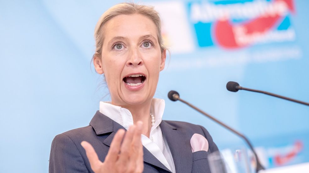 Hat kein Verständnis für eine Verbotsdebatte: AfD-Co-Chefin Alice Weidel. Foto: dpa/Michael Kappeler