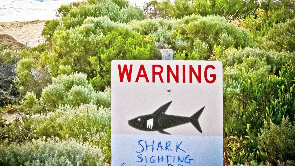 Die Gewässer rund um Australien sind berühmt-berüchtigt: Es kommt immer wieder zu Haiangriffen auf Schwimmer und Surfer. (Symbolbild) Foto: Rebecca Le May/AAP/dpa
