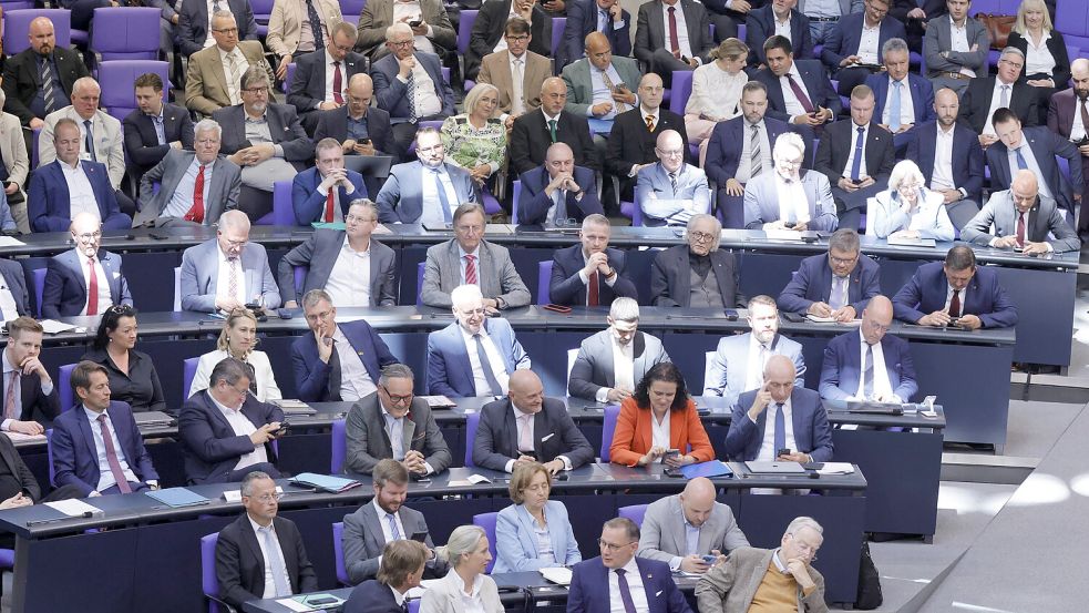 AfD-Fraktion im Bundestag: Größte Opposition und zweitstärkste Kraft bei der Bundestagswahl. Foto: IMAGO/Metodi Popow