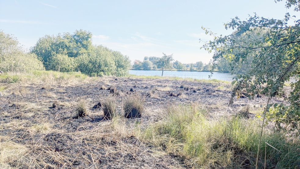 Insgesamt brannte eine zwei Hektar große Fläche. Foto: Feuerwehr