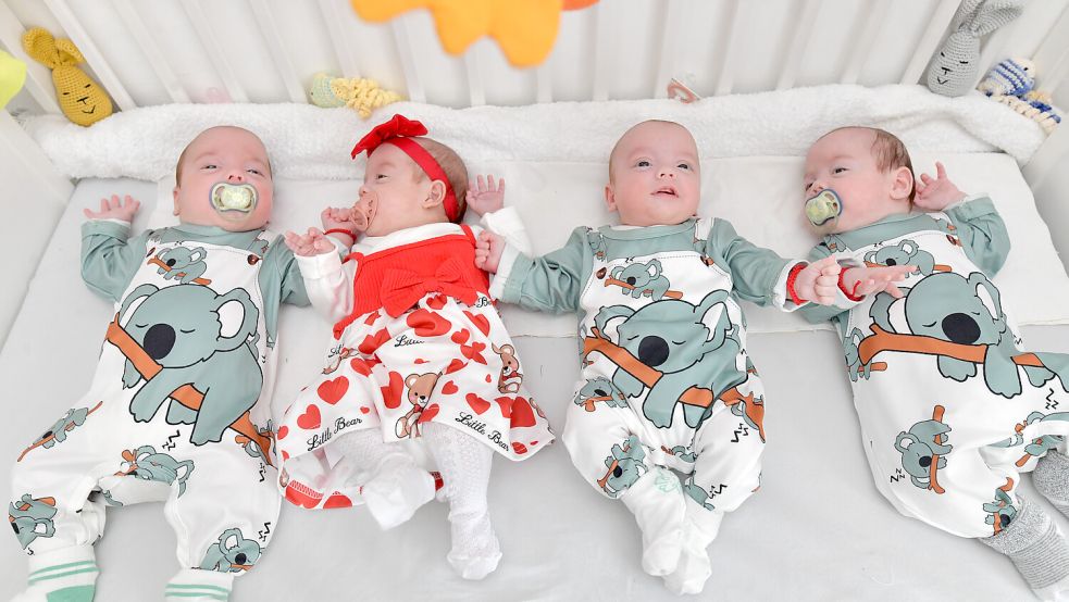 Noch passen die vier Geschwister zusammen in ein kleines Babybettchen. Foto: Klaus Ortgies