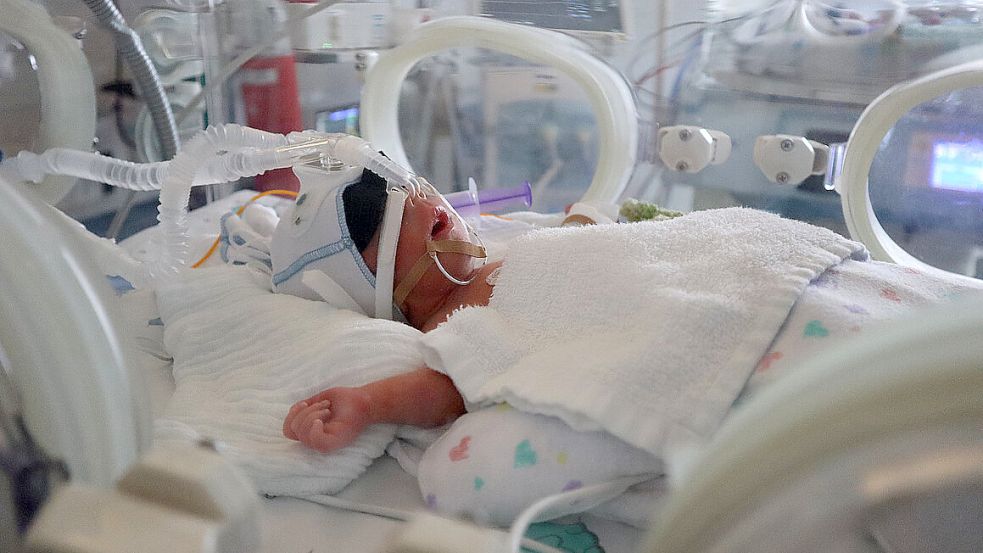 Die Vierlinge kamen in Vechta zur Welt. Die Kinder (hier David Cristian) verbrachten zunächst einige Wochen auf der Frühchenstation. Foto: Daniel Meier/St. Marienhospital