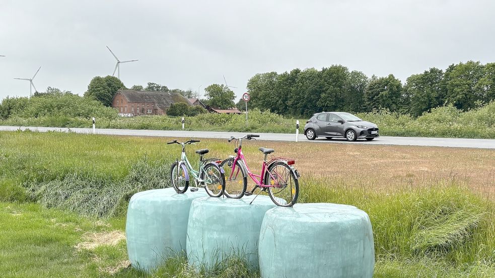 Direkt neben dem Gewerbegebiet in Riepe mahnen ausrangierte Räder einen Radweg an der L1 zwischen Riepe und Oldersum an. Foto: Karin Böhmer
