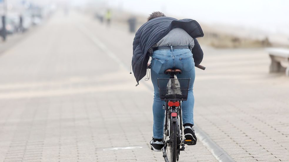 Wer aktuell in Ostfriesland mit dem Rad unterwegs ist, muss bei Gegenwind ordentlich in die Pedale treten. Foto: Christian Mueller/Shutterstock