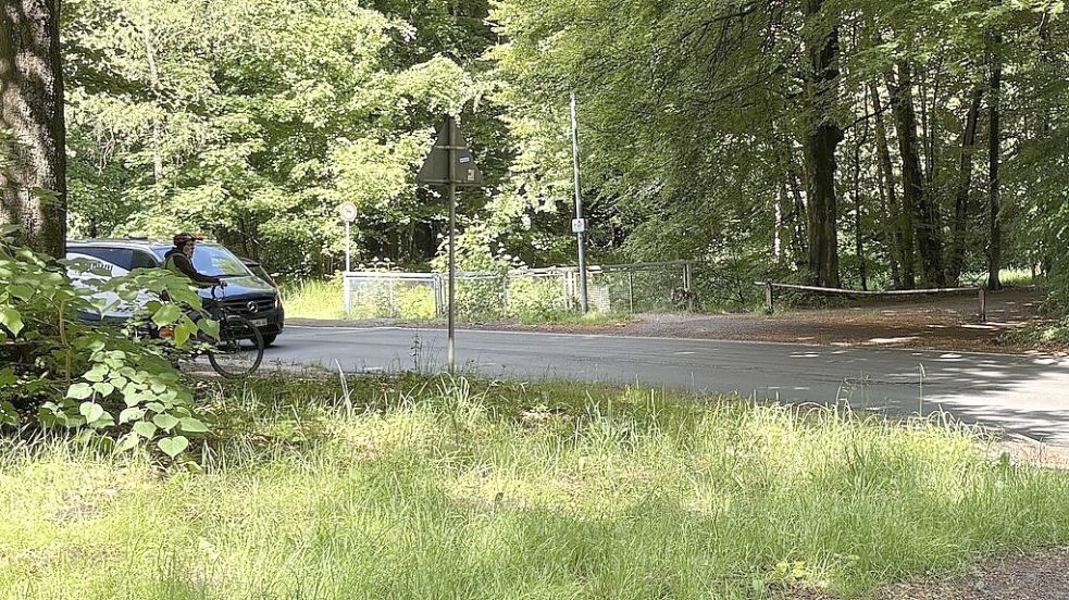 Die Sicht an der Mündung der Sandhorster Allee ist nicht optimal. Radfahrer sind bei der Anfahrt schlecht erkennbar. Foto: Lasse Paulsen