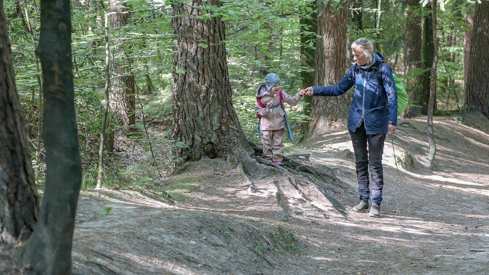 An der sicheren Hand von Imke Kossin-Dähn geht es für Waldkind Jelda durch unebenes Gelände. Foto: Romuald Banik