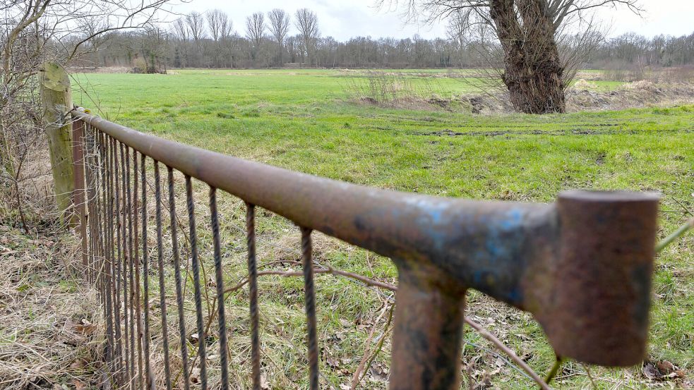 Hinter dem geplanten Standort der Feuerwehr befindet sich eine Pingu-Ruine, die Naturschützer erhalten wollen. Dort ist die Regenrückhaltung des Baugebiets vorgesehen. Foto: Klaus Ortgies