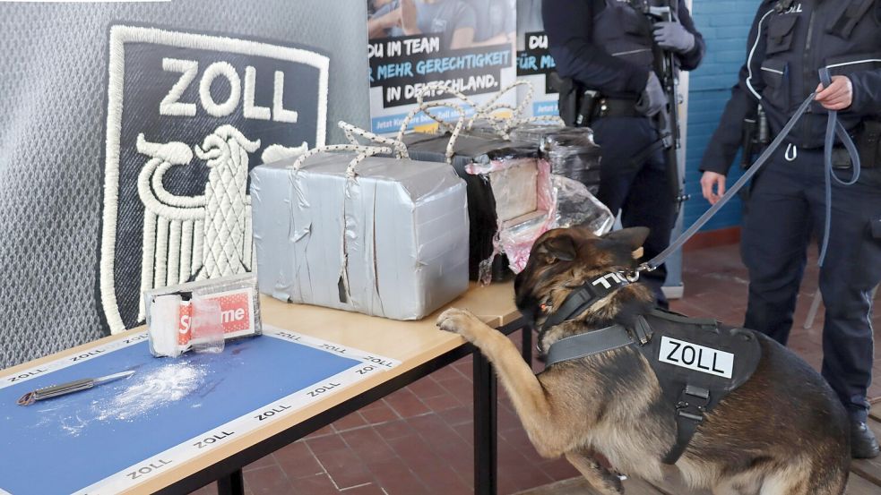 400 Kilo Kokain hat das Hauptzollamt Bremen im vergangenen Jahr sichergestellt. Bremerhaven gilt als wichtiges Einfallstor für die Schmuggler. Foto: Hauptzollamt Bremen