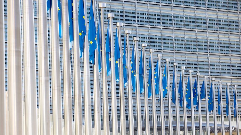 Die EU-Kommission wehrt sich gegen die Vorwürfe, die in Teilen bereits lange bekannt sind. (Archivbild) Foto: Thomas Banneyer/dpa