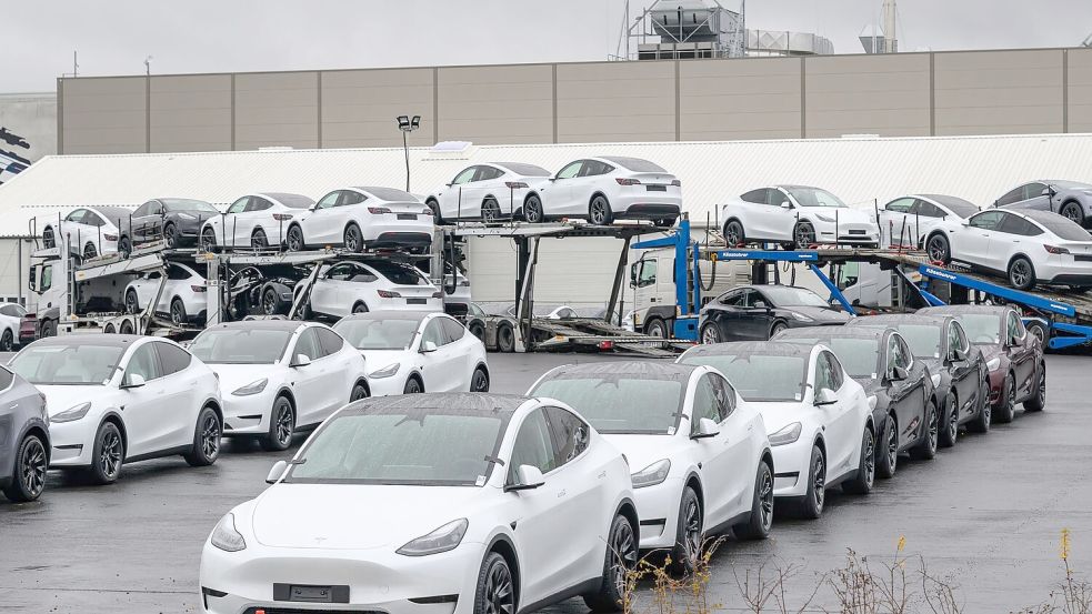Tesla will als Robotaxis nach bisherigen Angaben zunächst handelsübliche Fahrzeuge des Typs Model Y einsetzen. (Archivbild) Foto: Patrick Pleul/dpa