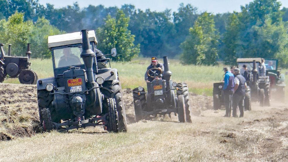 In Rechtsupweg zeigen die Oldtimer-Trecker, was noch in ihnen steckt. Foto: Folkert Bents
