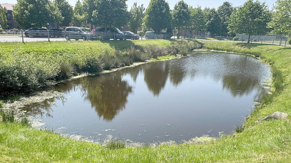 Regenrückhaltebecken wie das an der Moordorfer Grundschule spielen eine wichtige Rolle für das Entwässerungssystem. Foto: OOWV