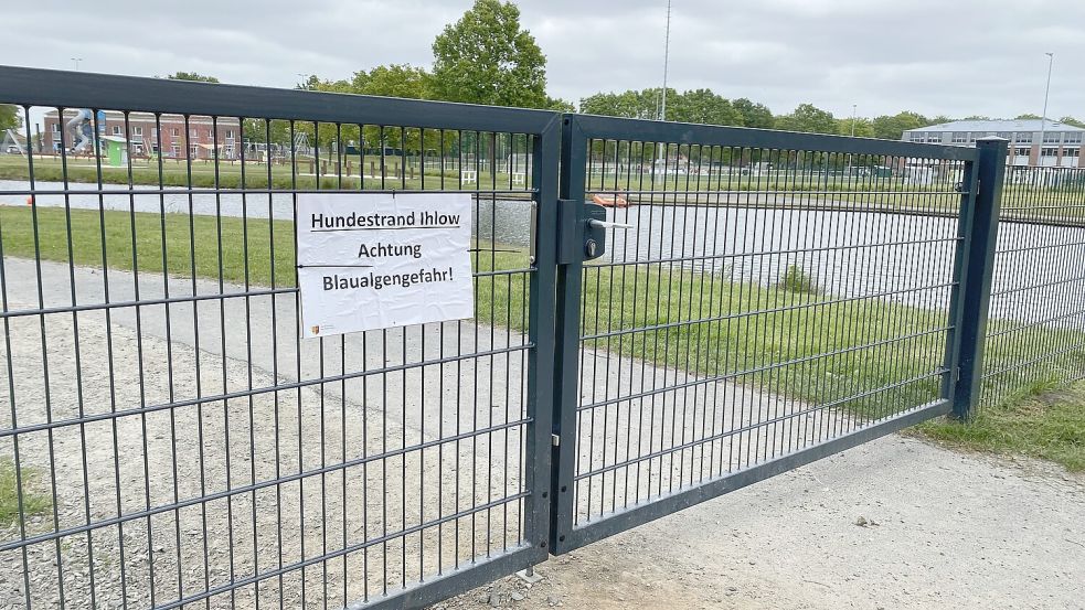 Provisorische Hinweisschilder weisen am Zaun des Hundestrands seit einigen Wochen auf eine mögliche Gefahr durch Blaualgen hin. Foto. Christin Wetzel