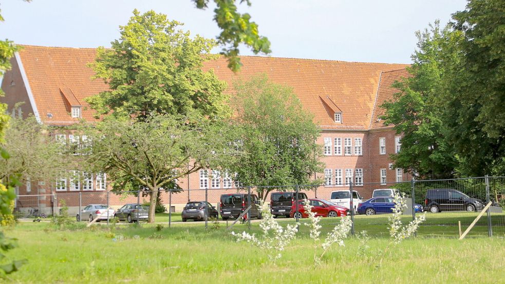 In den Jahren, in denen das Kasernengelände brach lag, hat sich die Natur Räume zurückerobert. Foto: Romuald Banik
