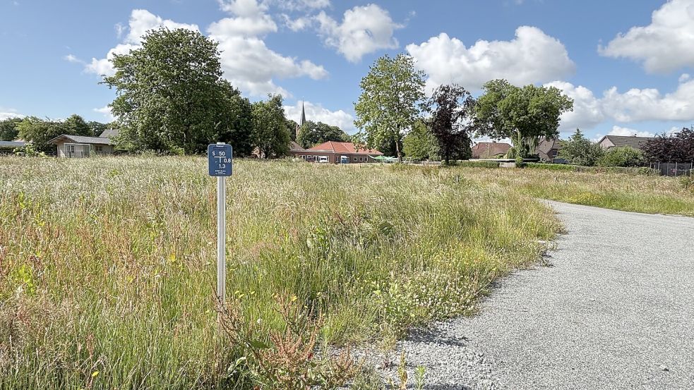 Leere Flächen und hohe Gräser: Im Großefehntjer Baugebiet Luisenstraße sind bisher erst wenige Grundstücke verkauft worden. Foto: Imke Cirksena