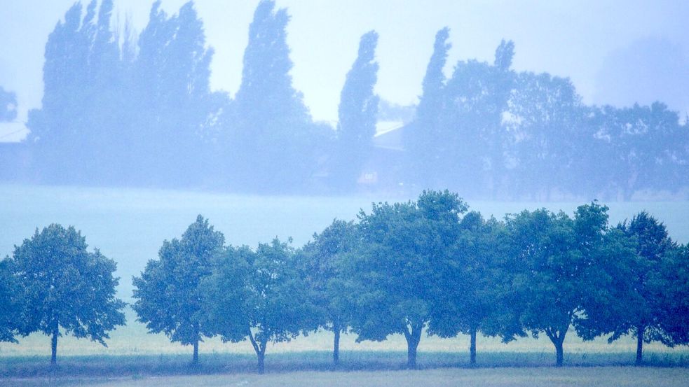 Ein Starkregengebiet zieht über Mecklenburg-Vorpommern. Foto: Jens Büttner/dpa
