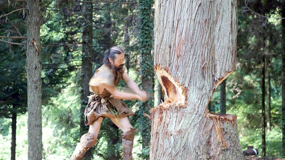 Ein Mann fällt einen Baum für den Nachbau eines steinzeitlichen Kanus. Foto: Yousuke Kaifu/dpa