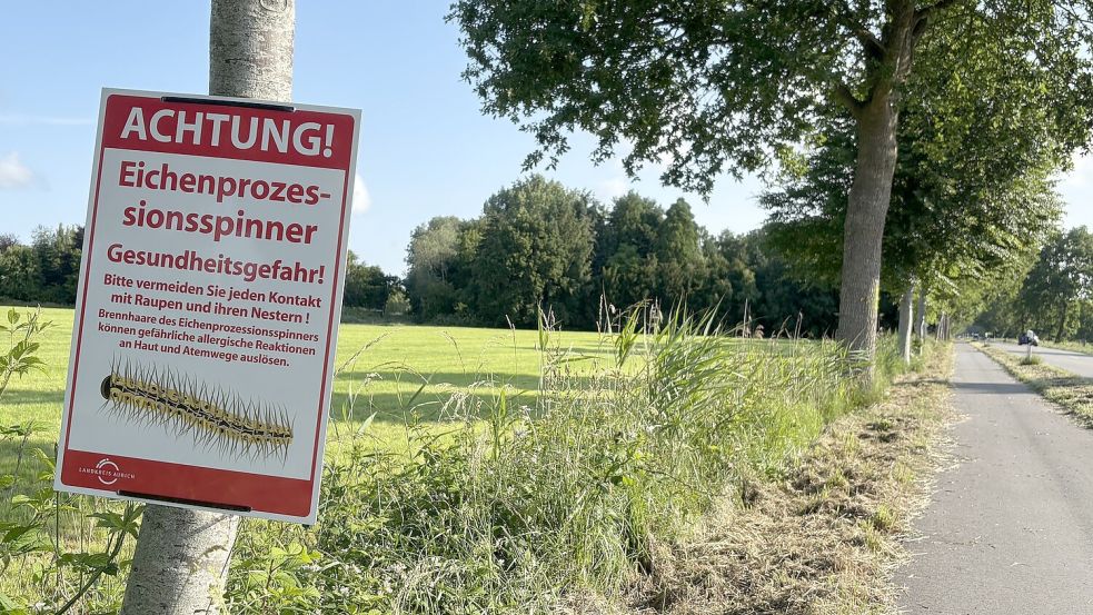 Ein Warnschild stand für einige Tage an der Kirchdorfer Straße in Ludwigsdorf. Inzwischen sind Nest und Schilder entfernt. Foto: Christin Wetzel