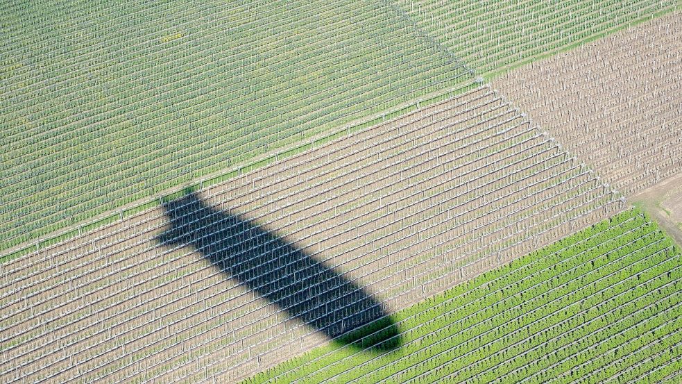 Vor 125 Jahren hob der erste Zeppelin ab. (Symbolbild) Foto: Stefan Puchner/dpa
