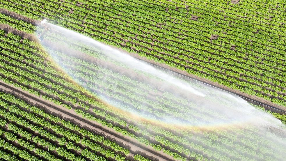 Wasser kann Luxus sein - wenn es knapp ist und für die Landwirtschaft gebraucht wird. (Illustration) Foto: Julian Stratenschulte/dpa